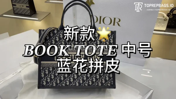 i1706282456_945_0 Dior Book Tote in Blue
