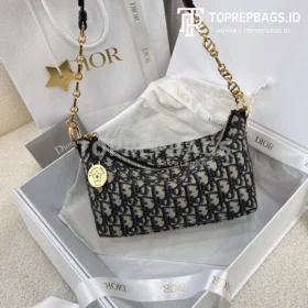 i1706958380_2029_7 Dior Star Hobo in Blue