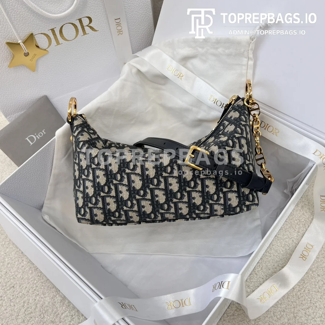 i1706958380_5097_0 Dior Star Hobo in Blue