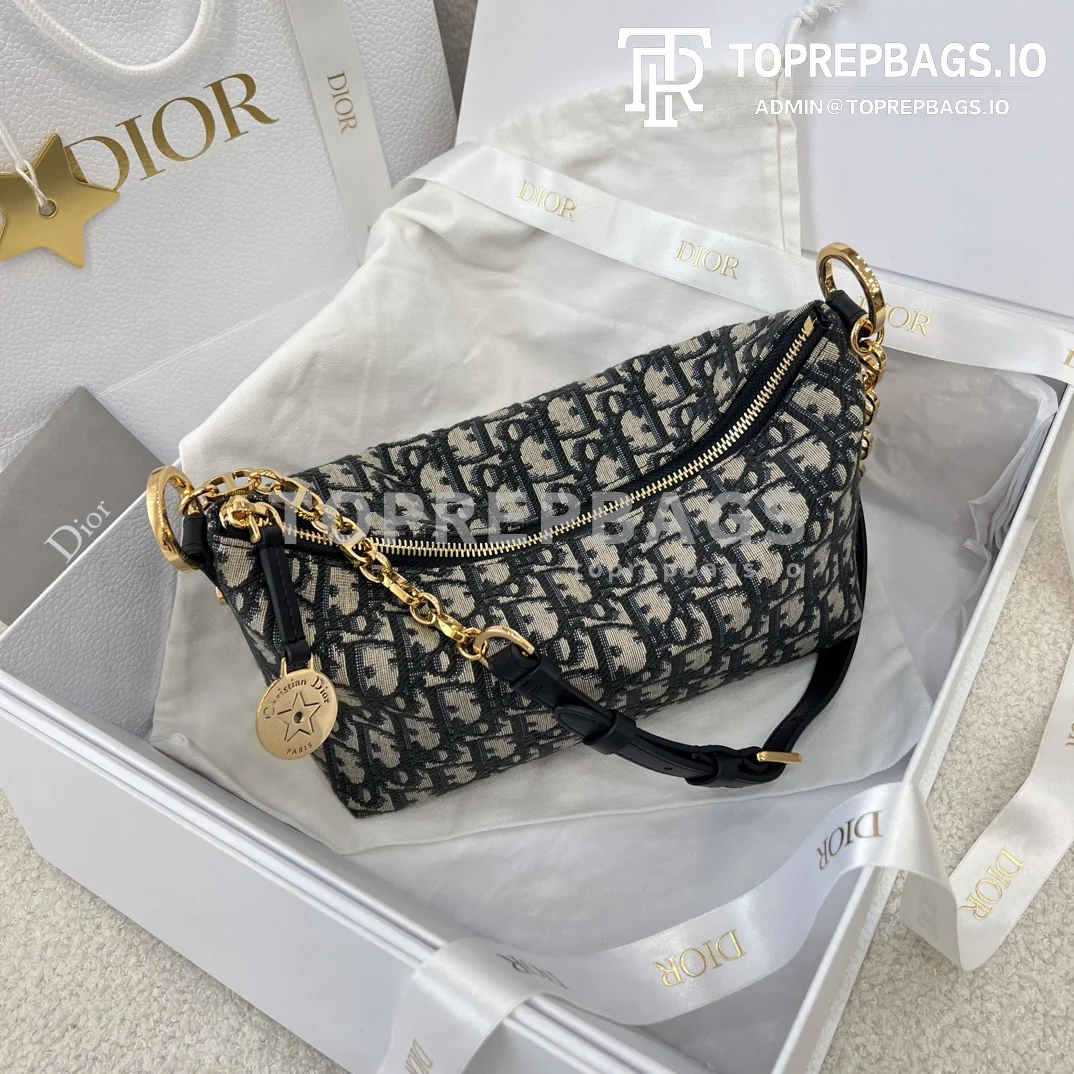i1706958380_5825_4 Dior Star Hobo in Blue