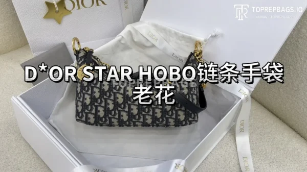 i1706958929_984_0 Dior Star Hobo in Blue