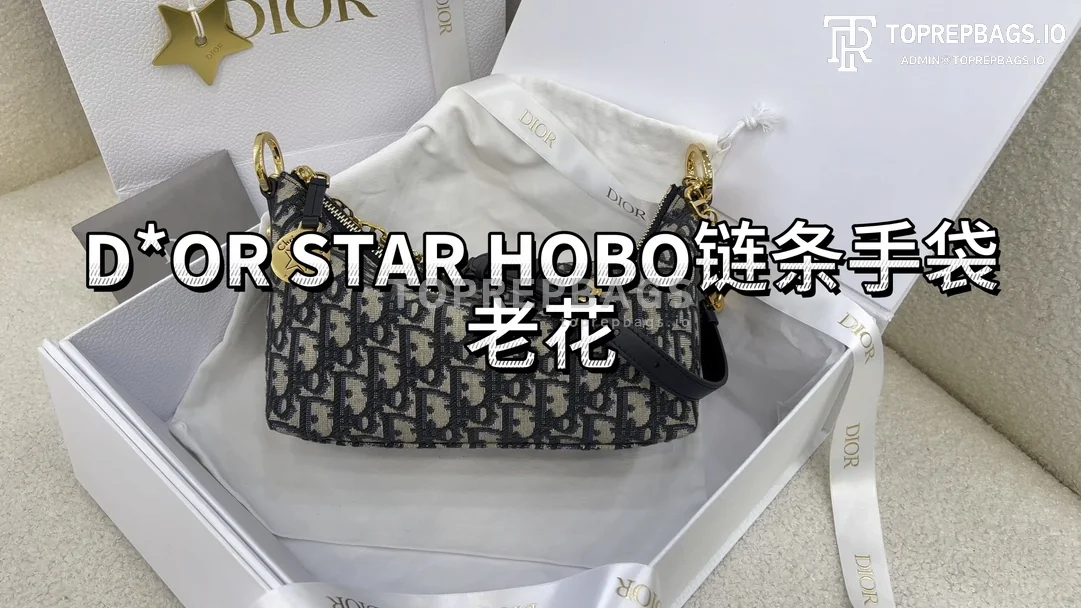 i1706958929_984_0 Dior Star Hobo in Blue