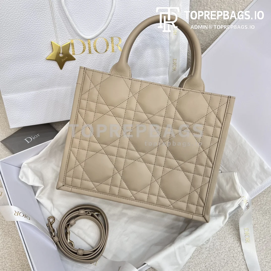 i1706983109_3897_3 Dior Lady Dior in Beige