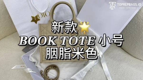 i1706983325_2644_0 Dior Lady Dior in Beige