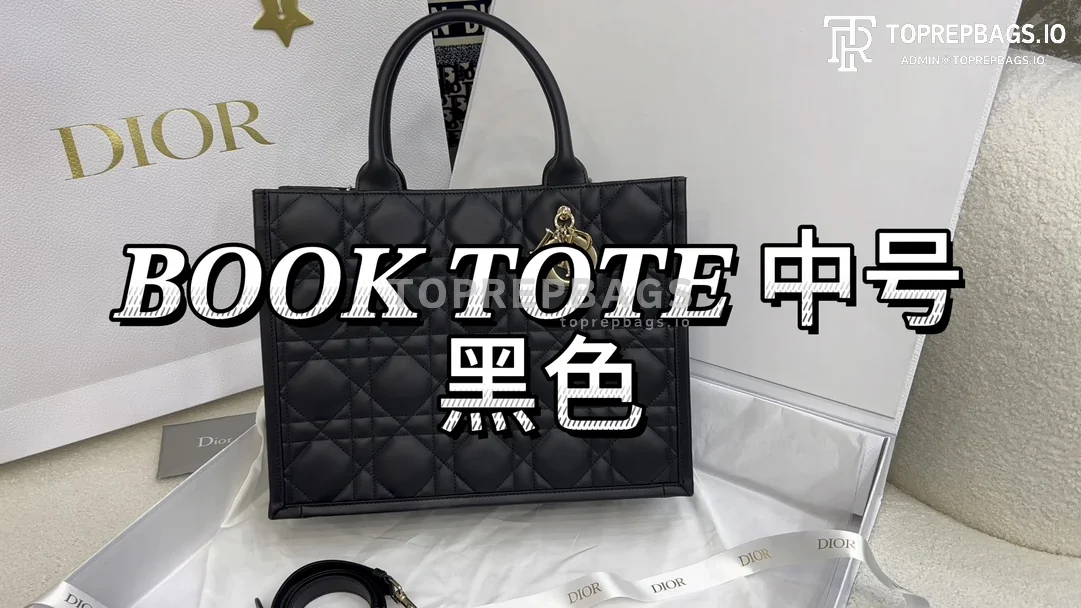 i1707011218_8652_0 Dior Book Tote in Black