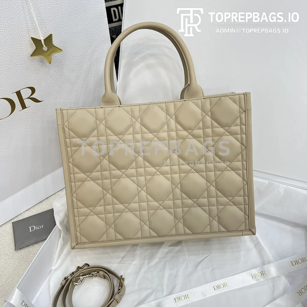 i1707025952_693_0 Dior Book Tote in Beige