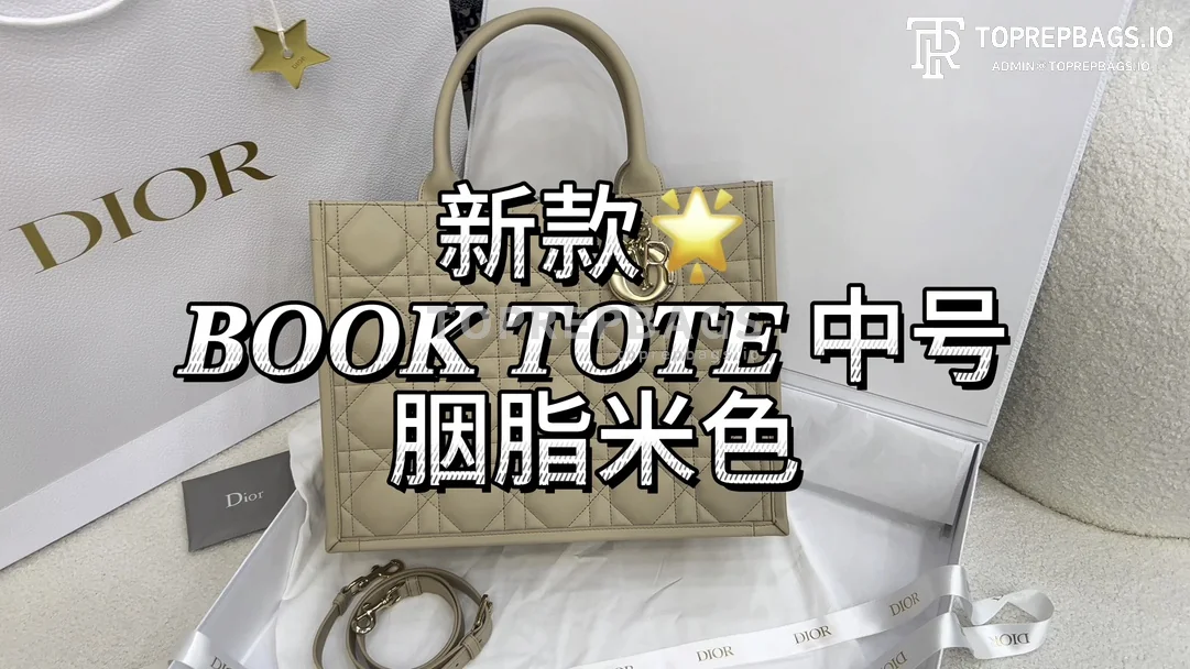 i1707026160_4280_0 Dior Book Tote in Beige