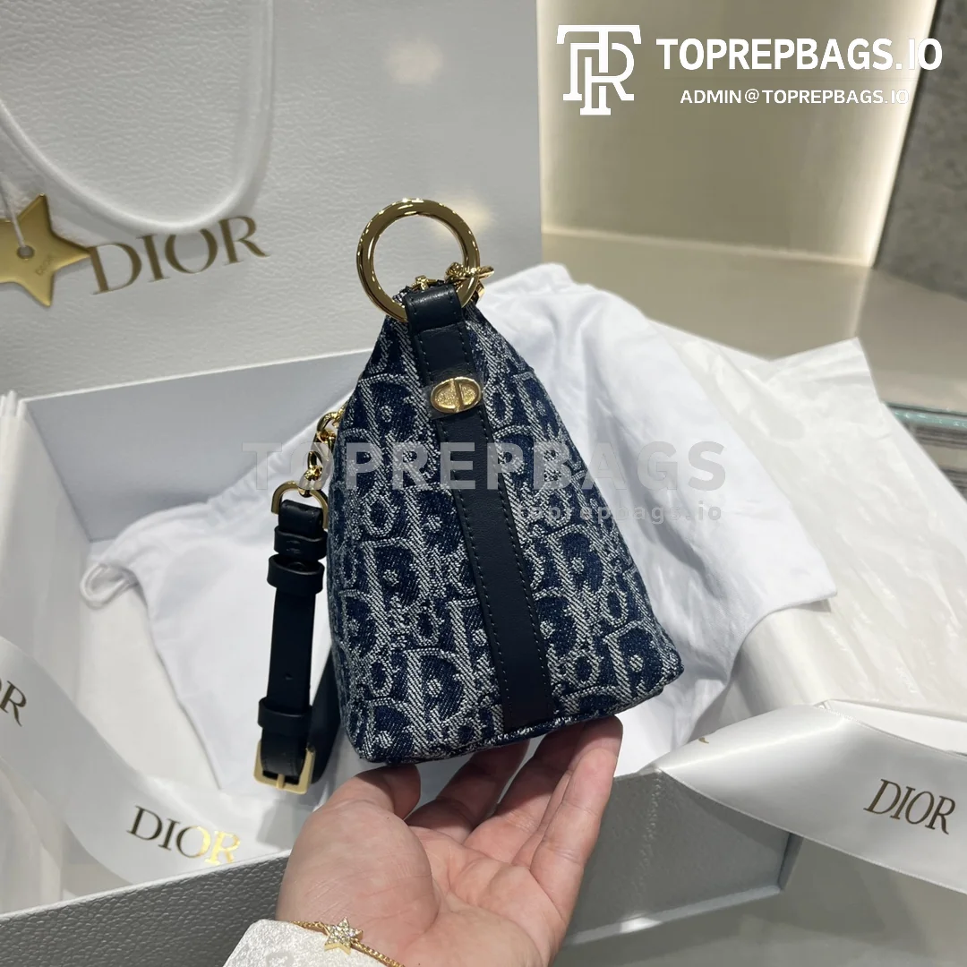i1726129768_1241_0 Dior Star Hobo in Blue