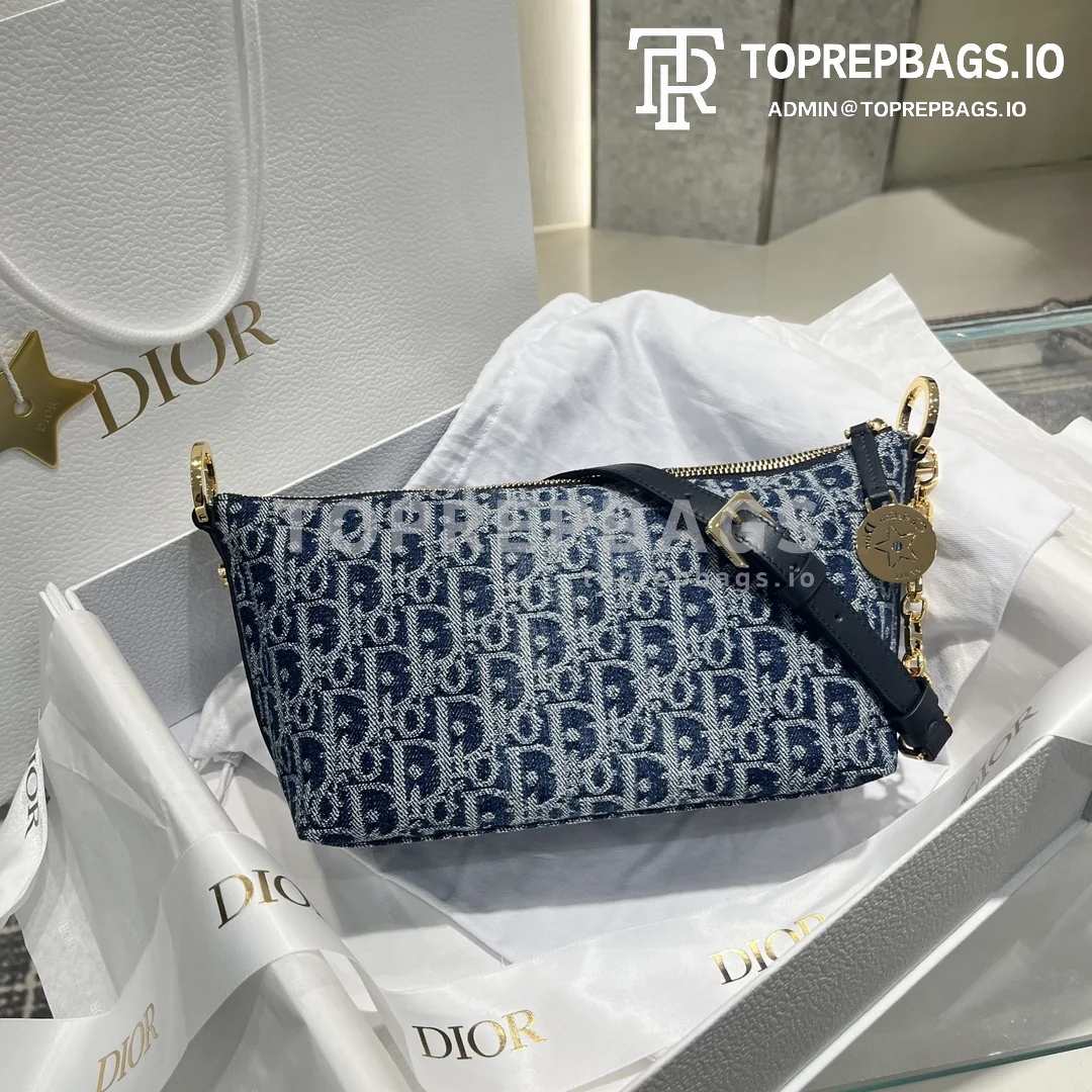 i1726129768_345_0 Dior Star Hobo in Blue