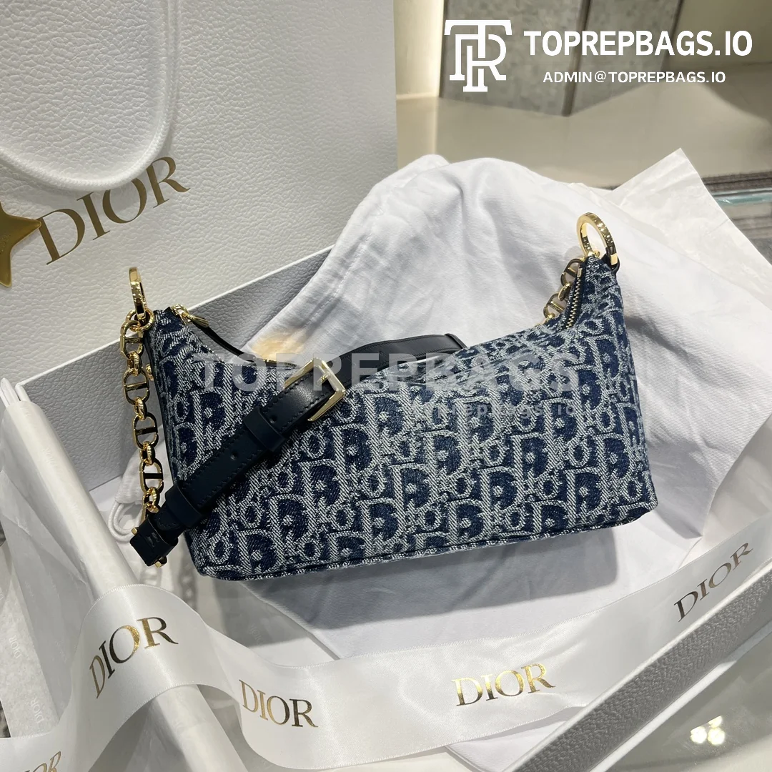 i1726129768_7799_0 Dior Star Hobo in Blue