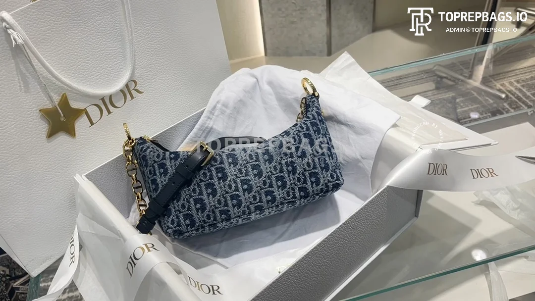 i1726129818_4695_0 Dior Star Hobo in Blue