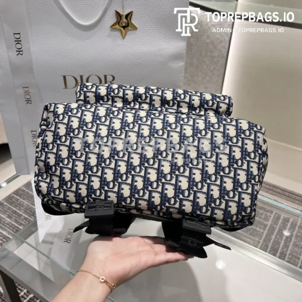 i1729689421_666_2 Dior Handbag in Blue