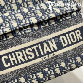 Dior Handbag in Blue