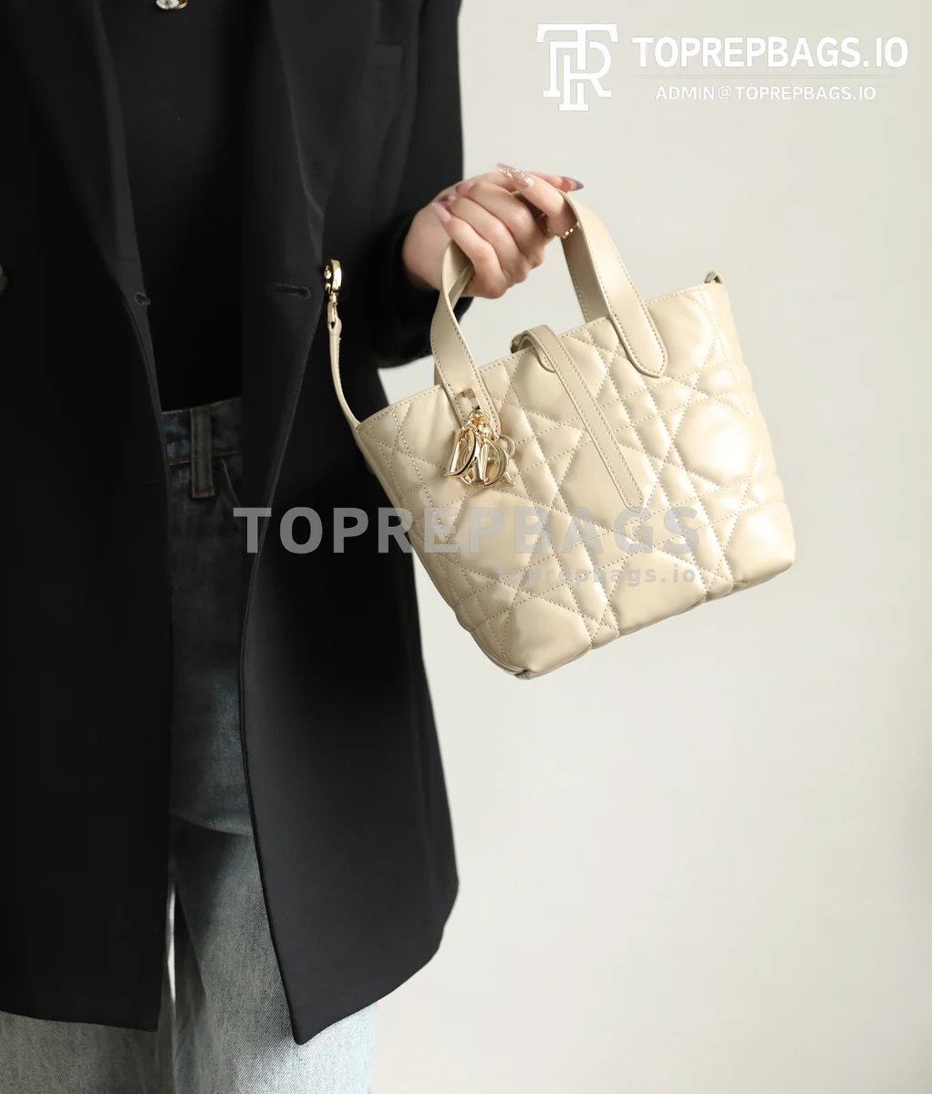 i1739779848635_7826_0_7 Dior Toujours in Beige