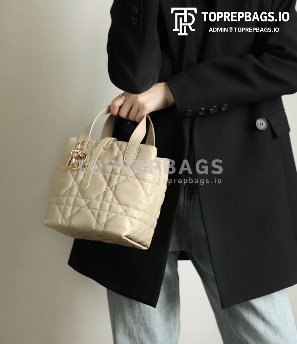i1739779850395_8468_0_1-1 Dior Toujours in Beige