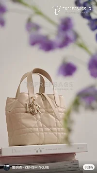 i1739780027868_657_0_0 Dior Toujours in Beige