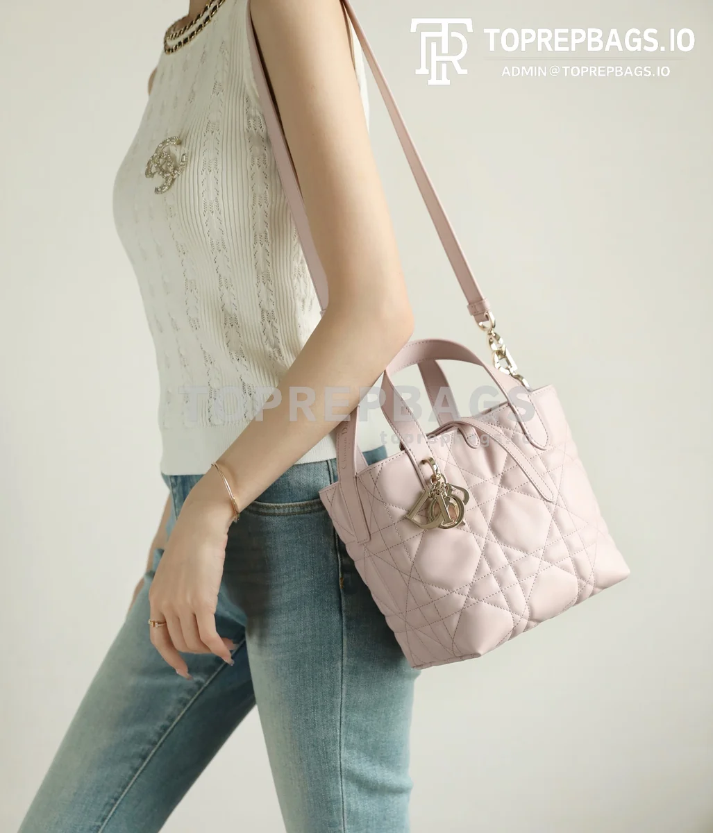 i1744883768756_0_0_7 Dior Toujours Vertical in Pink