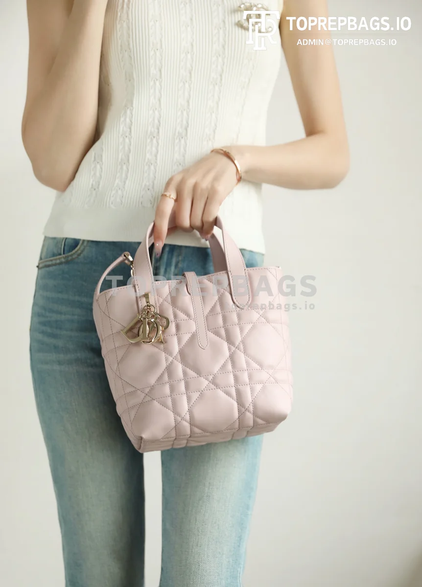 i1744883768830_97_0_2 Dior Toujours Vertical in Pink