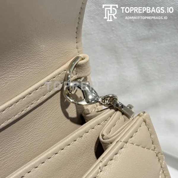 i1745693498007_7453_0_6 Dior Lady Dior in Beige