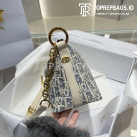 Dior Diorstar Hobo in Blue