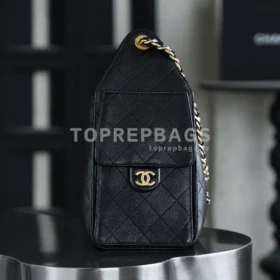 Chanel 25 Bag Small Hobo in Black