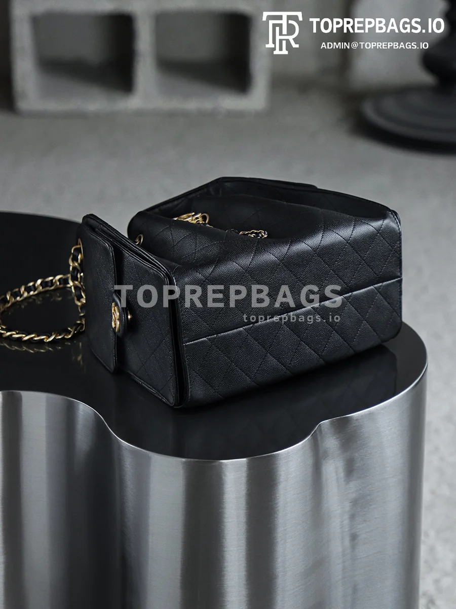 i1745988684623_4808_0_9 Chanel 25 Bag Small Hobo in Black