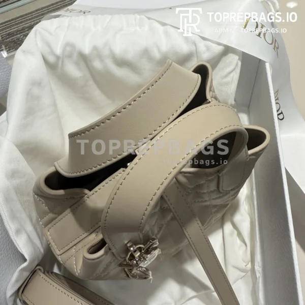 i1746278419979_9662_0_5 Dior D-Toujours Mini in Beige