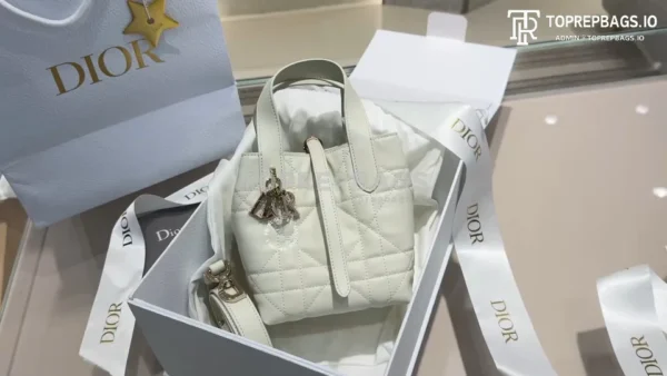 i1746282112743_146_0_0 Dior D-Toujours Mini in White