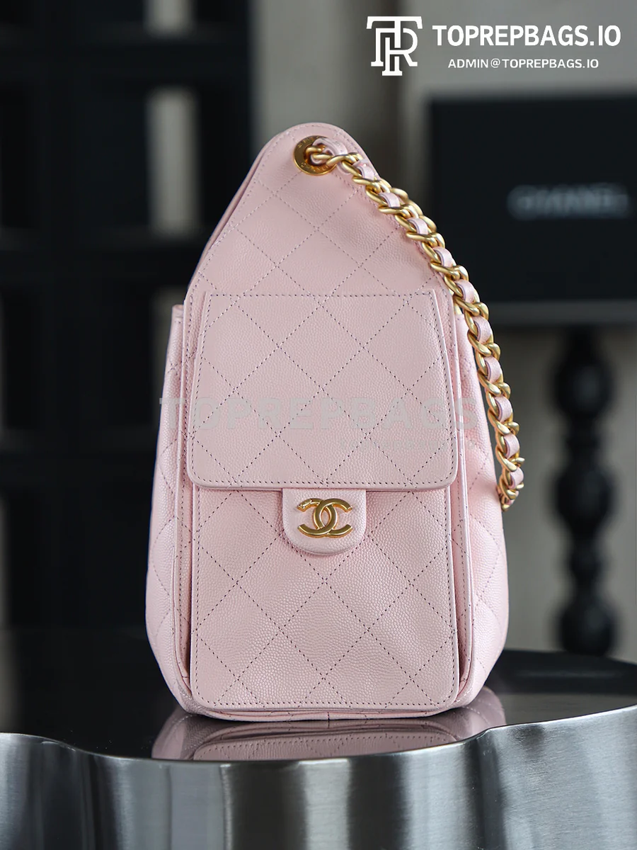 i1746423387458_3381_0_2 Chanel 25 Bag Small Hobo in Pink