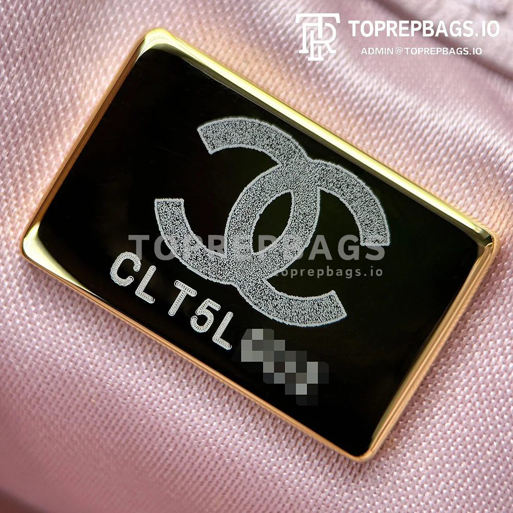 i1746423462018_8095_0_7 Chanel 25 Bag Small Hobo in Pink