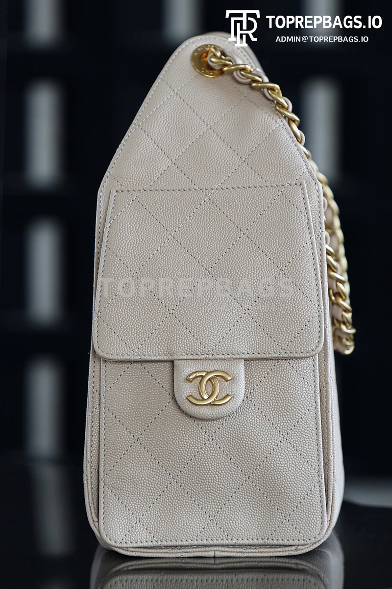 i1746696875960_3137_0_6 Chanel 25 Bag Small Hobo in Beige