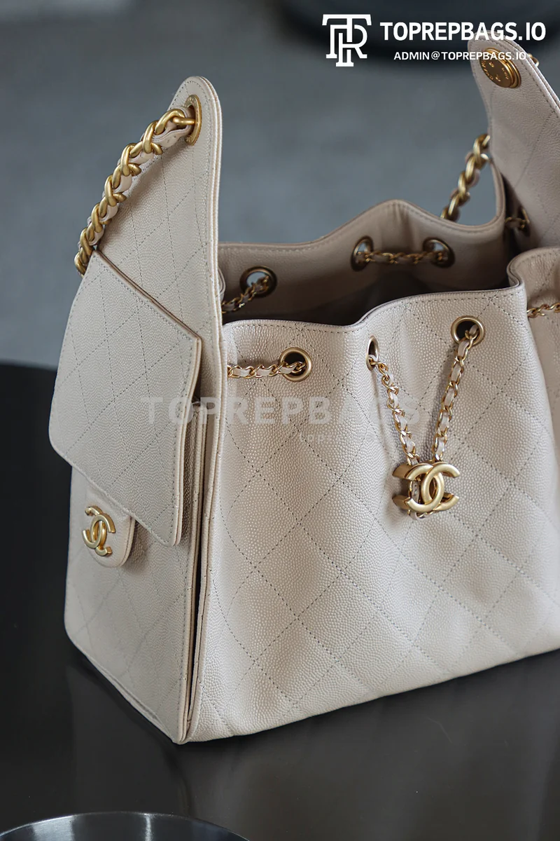 i1746697110411_7593_0_9 Chanel 25 Bag Small Hobo in Beige
