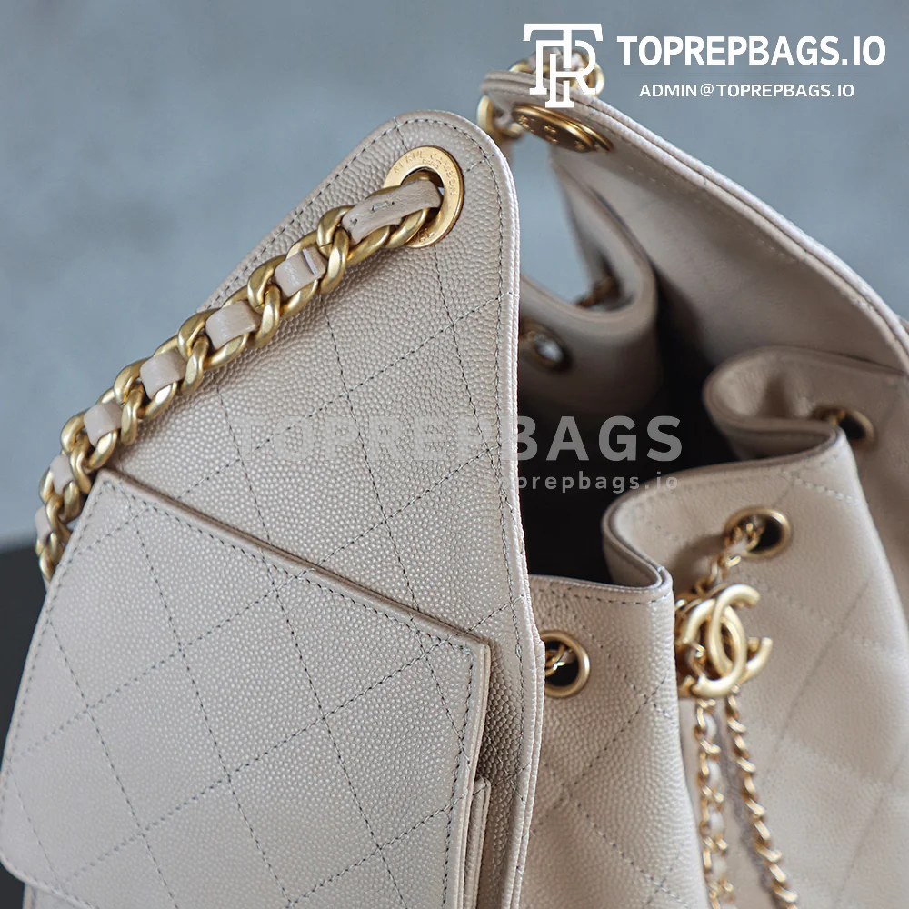 i1746697790972_5643_0_5 Chanel 25 Bag Small Hobo in Beige