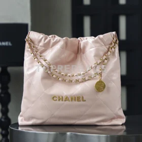 i1752914921213_2380_0_0 Chanel 22 Bag Medium in Pink
