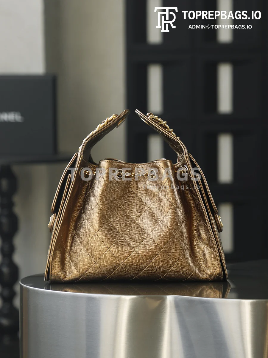 i1760164309751_9140_0_3 Chanel 25 Bag Small Hobo in Brown