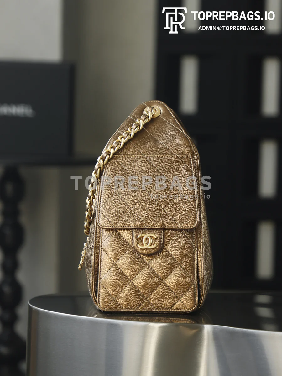 i1760164310596_2225_0_2 Chanel 25 Bag Small Hobo in Brown