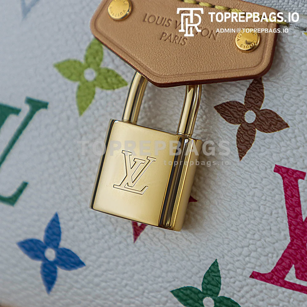 i1760172291947_392_0_1 Louis Vuitton Vanity Pouch in White