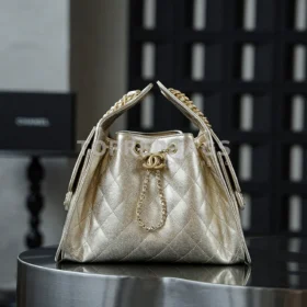 i1760938954965_3274_0_0 Chanel 25 Bag Small Hobo in !