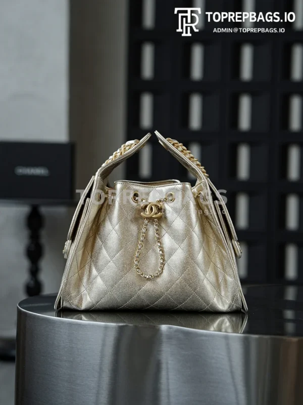 i1760938954965_3274_0_0 Chanel 25 Bag Small Hobo in !
