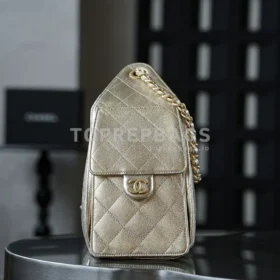 Chanel 25 Bag Small Hobo in !
