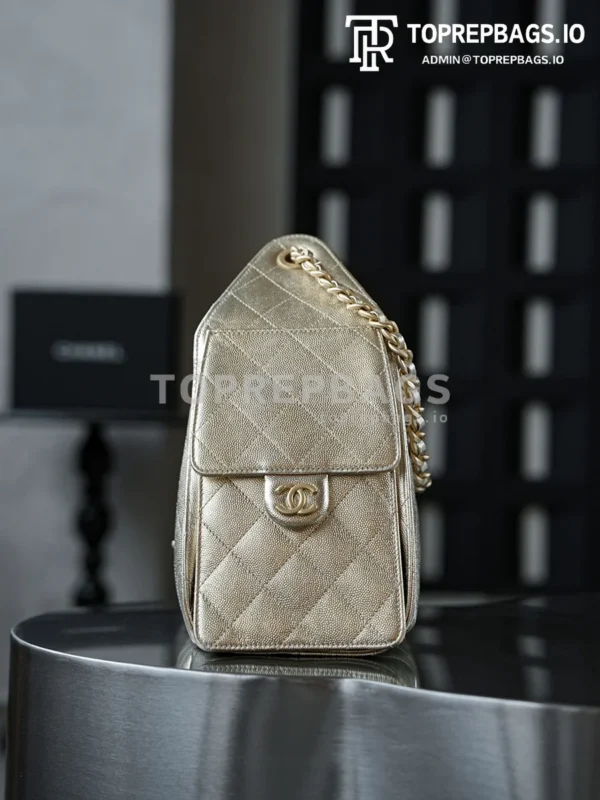 i1760938954966_9783_0_2 Chanel 25 Bag Small Hobo in !