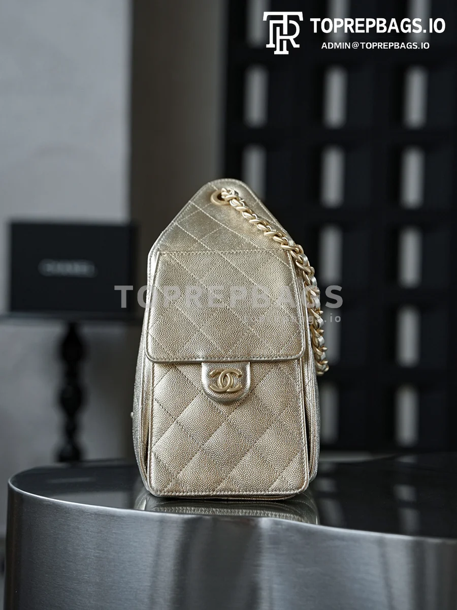 i1760938954966_9783_0_2 Chanel 25 Bag Small Hobo in !
