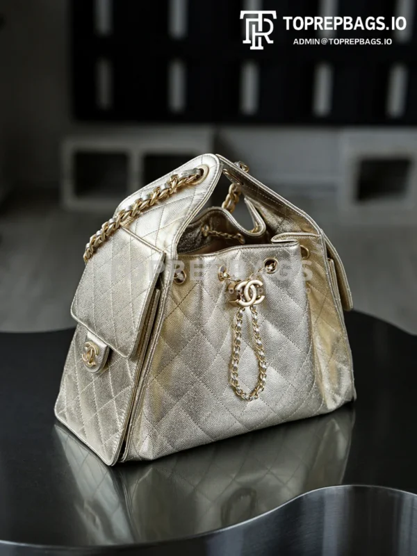 i1760938956054_9987_0_5 Chanel 25 Bag Small Hobo in !