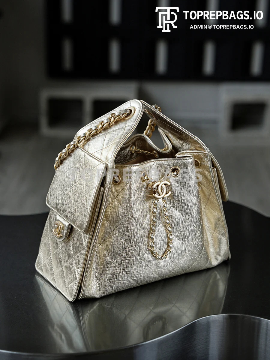 i1760938956054_9987_0_5 Chanel 25 Bag Small Hobo in !