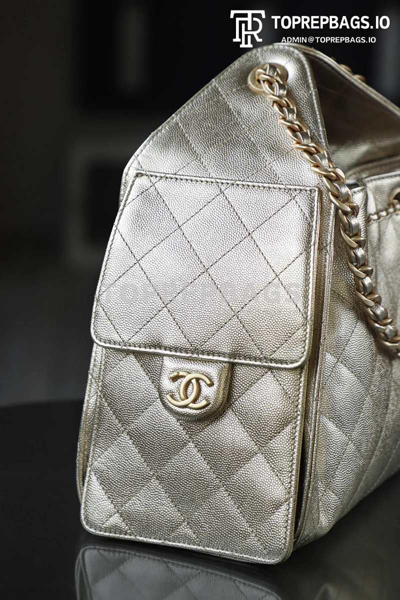 i1760938956132_563_0_8 Chanel 25 Bag Small Hobo in !