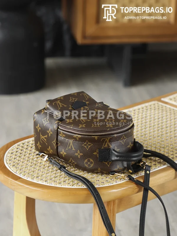 i1762247981712_355_0_7 Louis Vuitton Palm Springs Mini in Brown