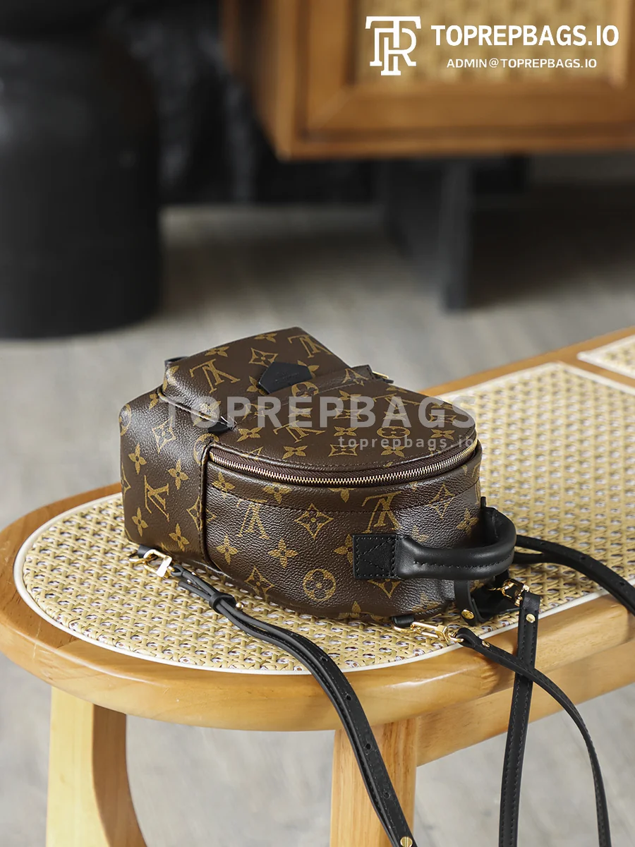 i1762247981712_355_0_7 Louis Vuitton Palm Springs Mini in Brown