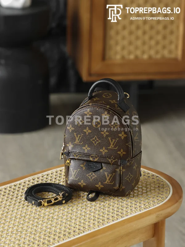 i1762247981713_4224_0_8 Louis Vuitton Palm Springs Mini in Brown