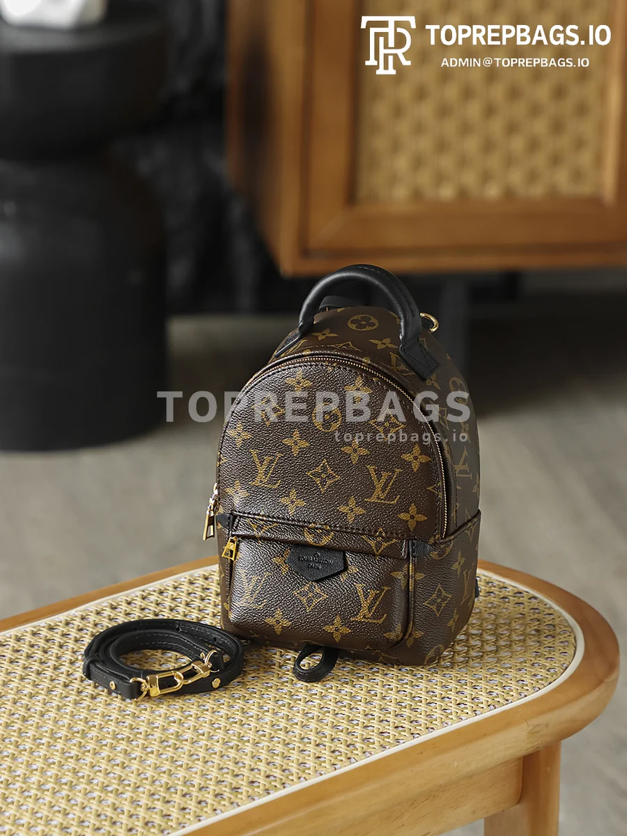 i1762247981713_4224_0_8 Louis Vuitton Palm Springs Mini in Brown