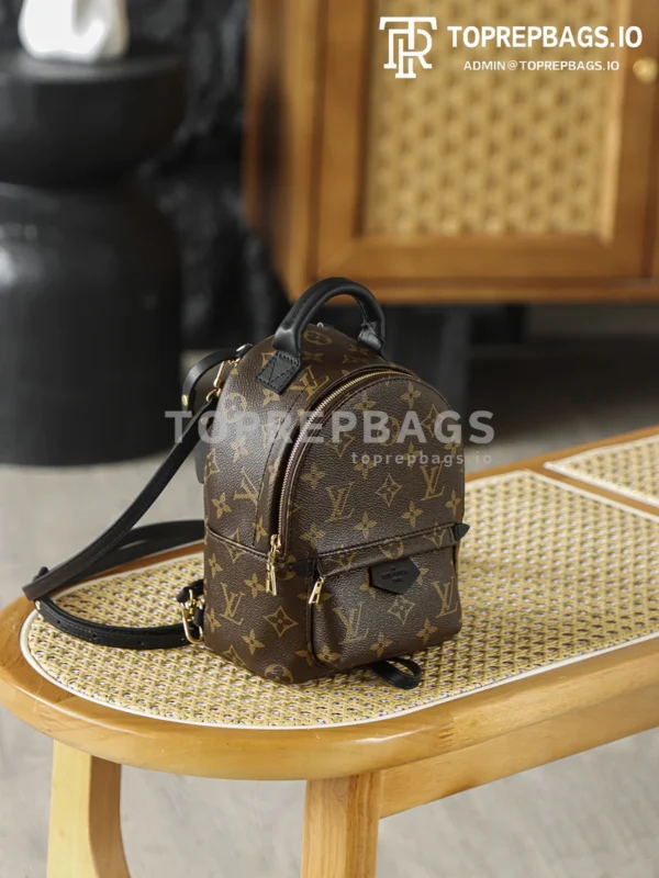 i1762247981713_6354_0_4 Louis Vuitton Palm Springs Mini in Brown